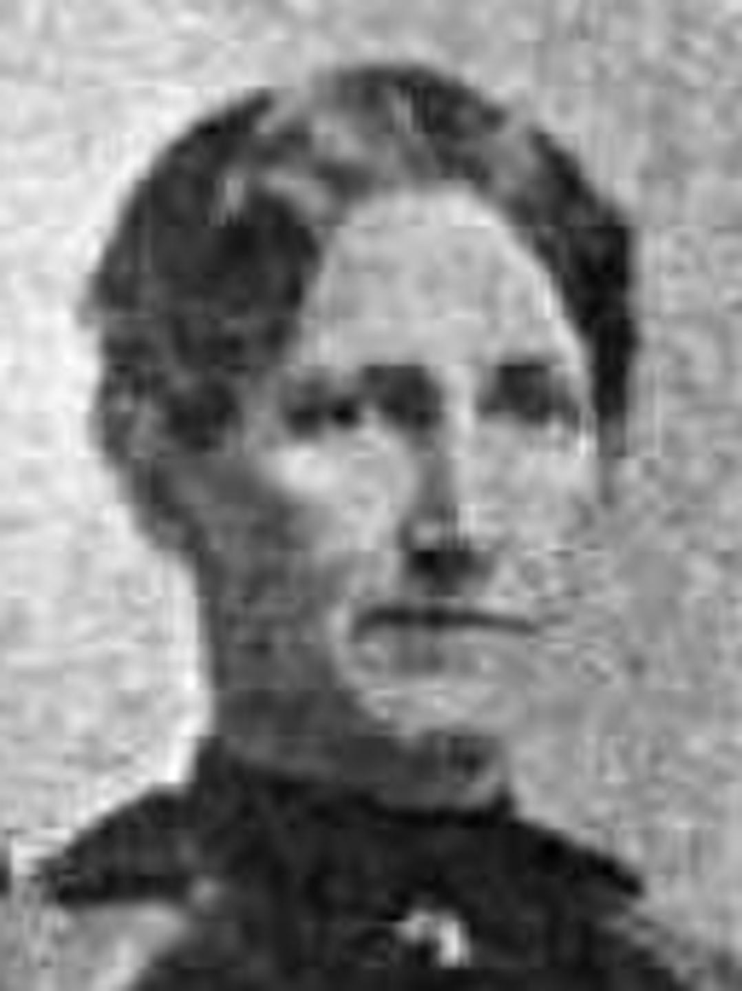 Ellen Balls (1859 - 1922) Profile